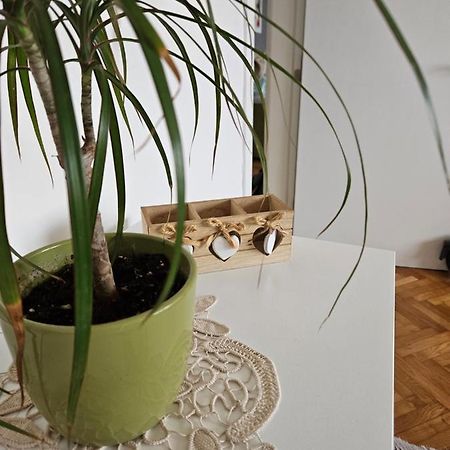 Cosy Apartment In The Heart Of Skopje Buitenkant foto